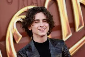 "The Rise of Timothée Chalamet: How He Became Hollywood’s It-Boy"