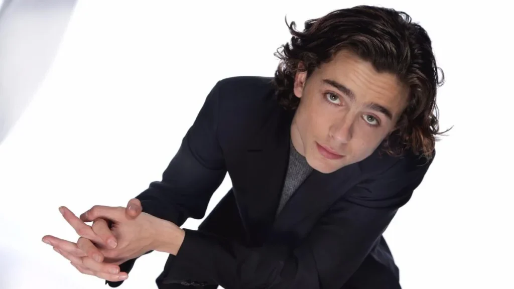 "The Rise of Timothée Chalamet: How He Became Hollywood’s It-Boy"