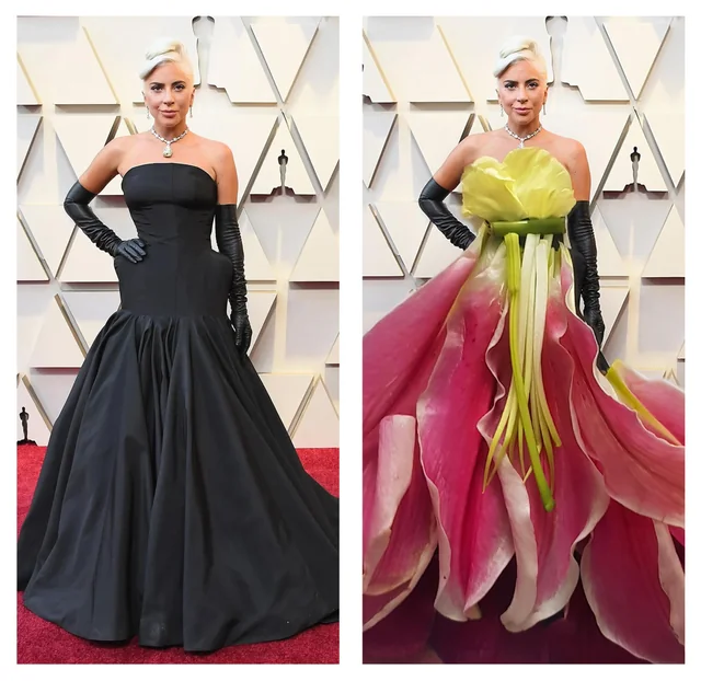 Lady Gaga's Stunning Red Carpet Outfit: Fans Can't Get Enough